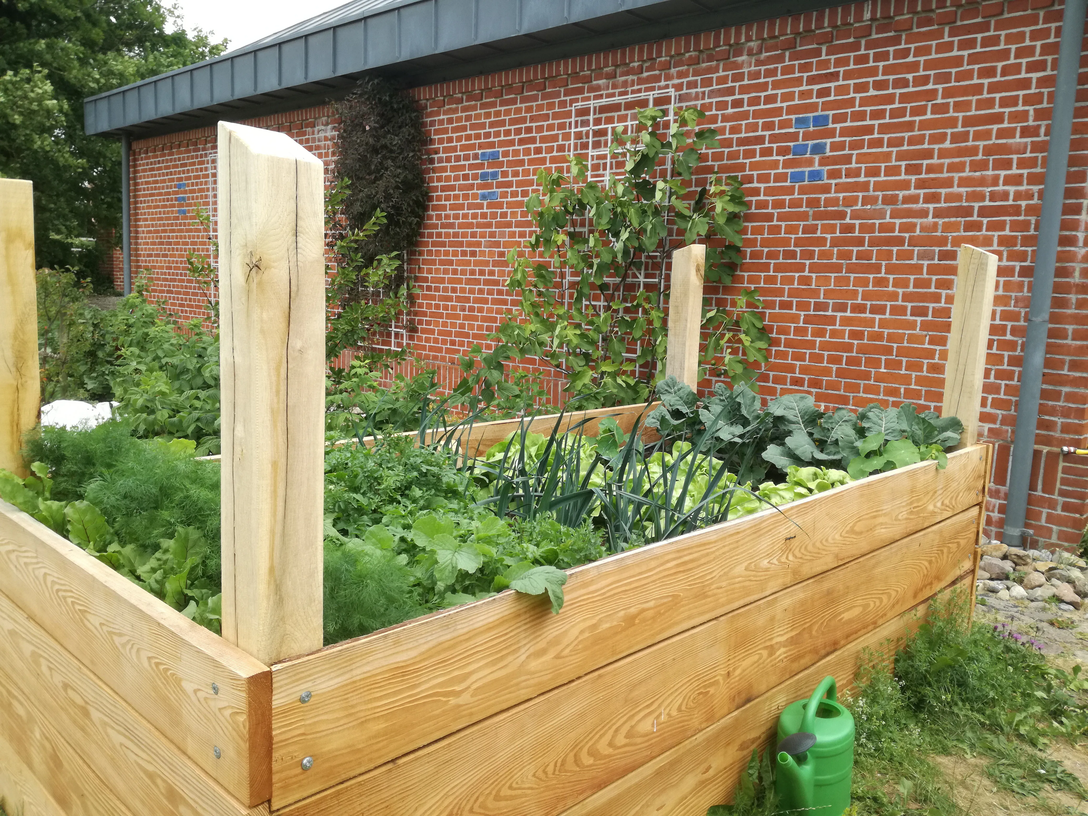 Hochbeet – Ansicht 4