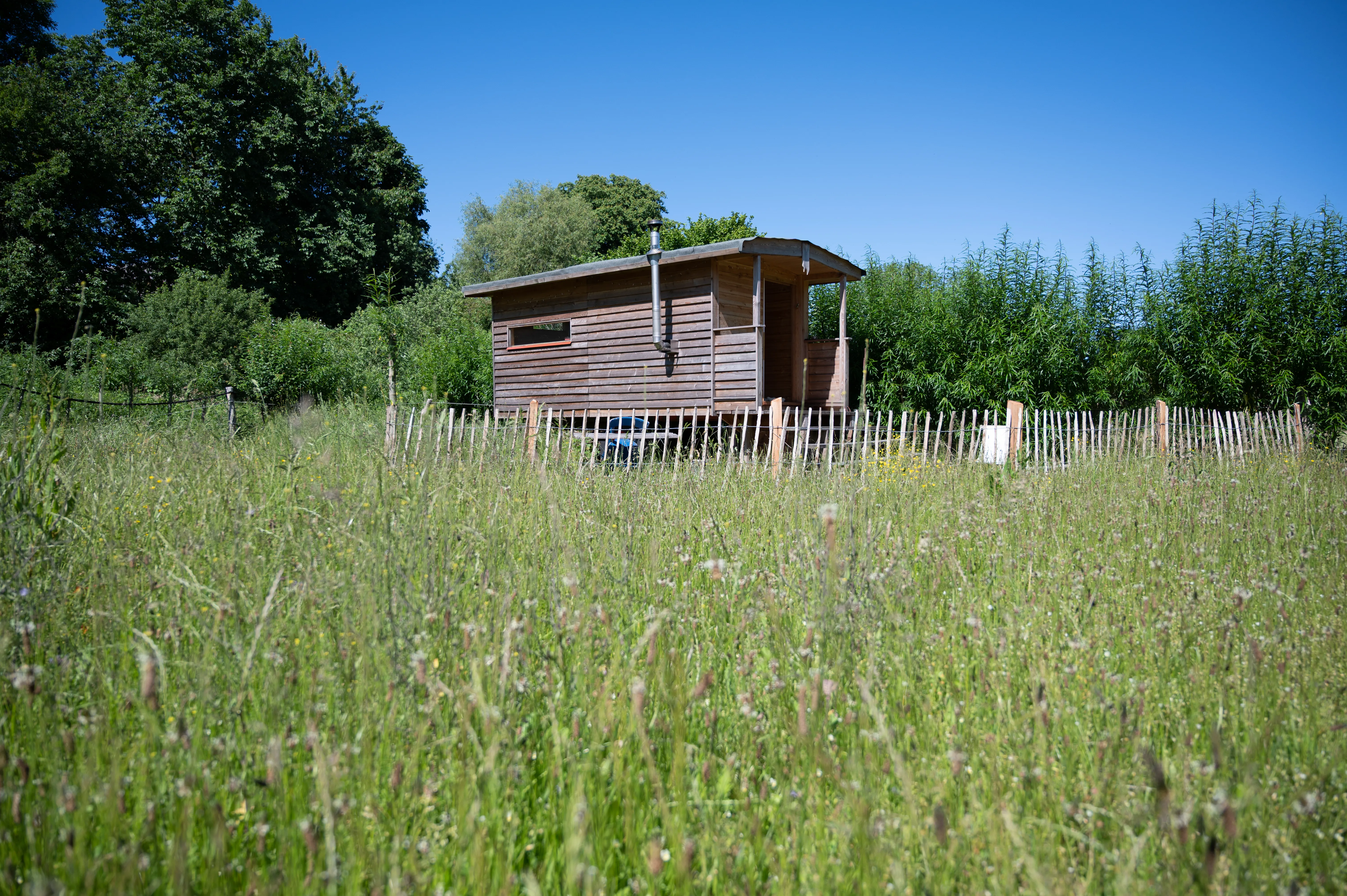 Bauwagen-Projekt – Ansicht 7